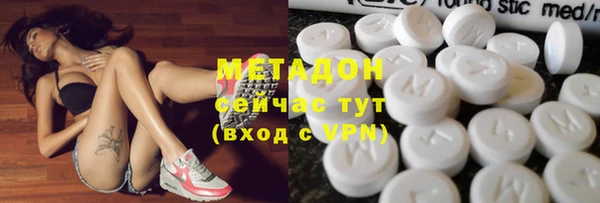 трава Карпинск