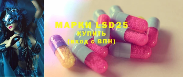 эйфоретик Каменногорск