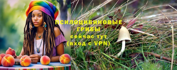 тгк Каменск-Шахтинский